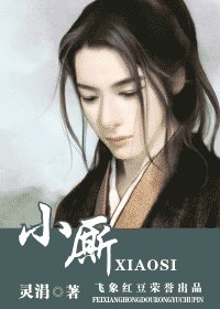 小厮(盼萦楼系列之一)