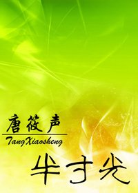 半寸光