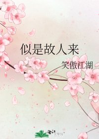 似是故人來